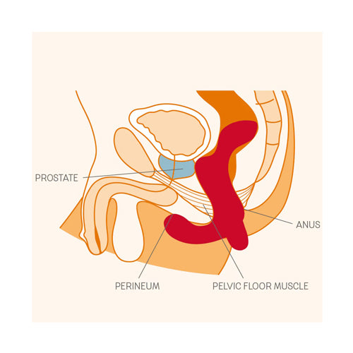 Duke Prostate Vibrator