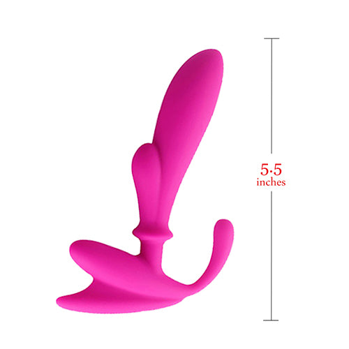 Anal Pleasure Prostate Stimulator