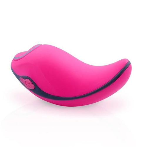 BCurious Premium Vibrator