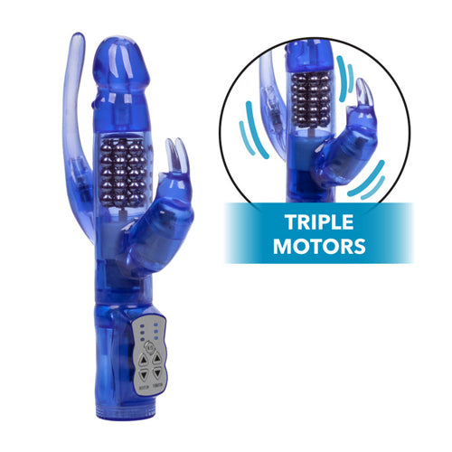 Delight Triple Orgasm