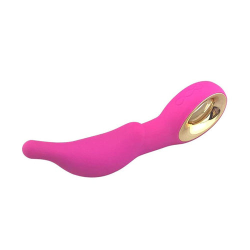Dolphin Vibrator
