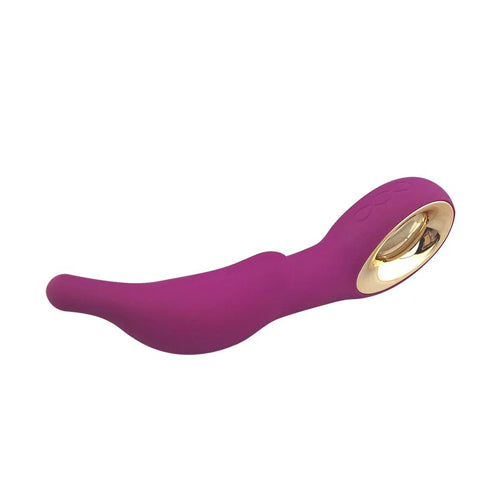 Dolphin Vibrator
